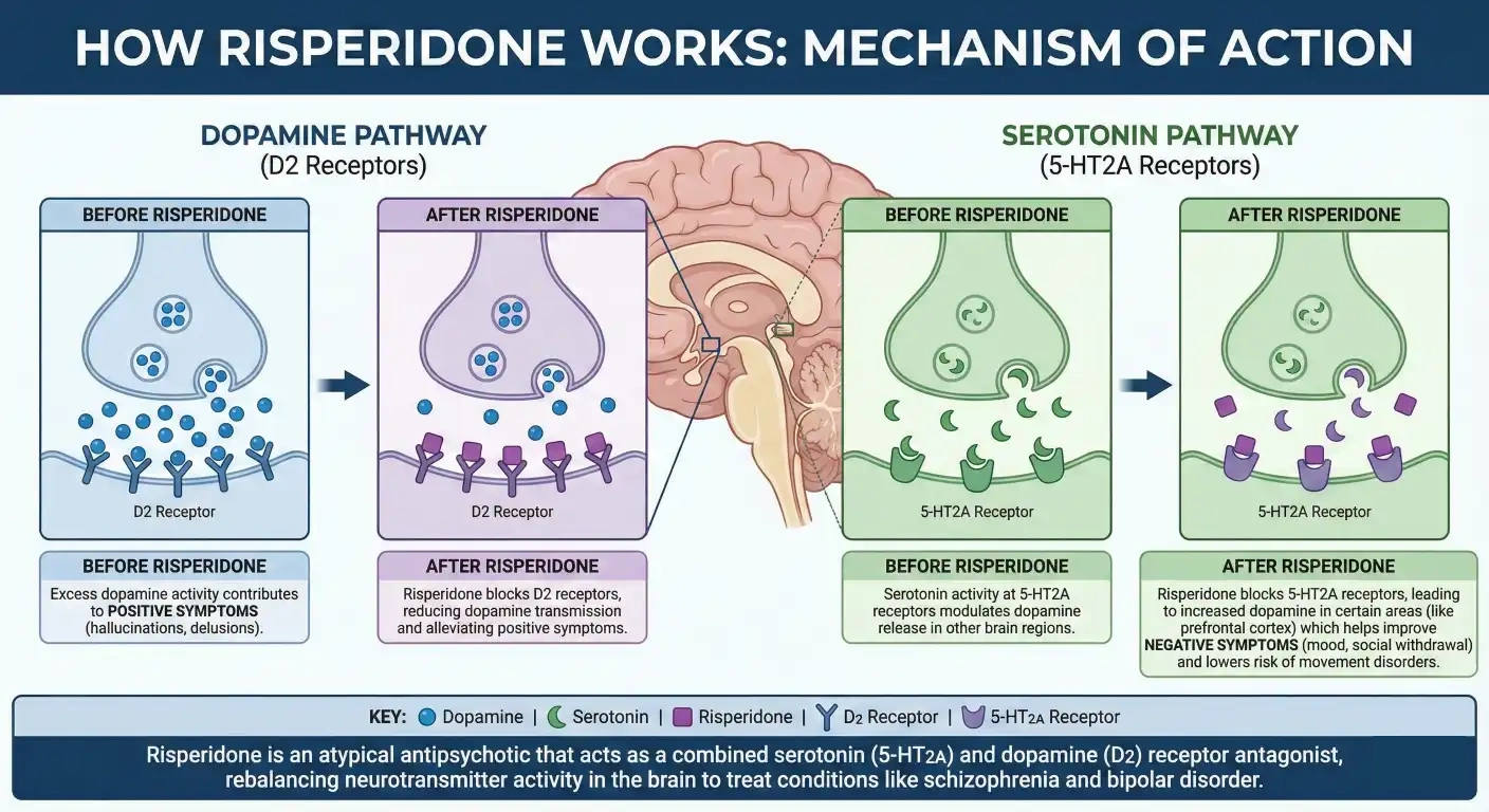 Risperidone mechanism of action infographics