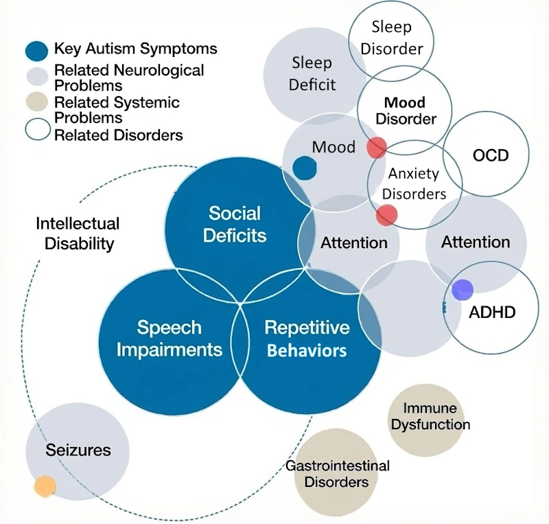 Diagram shows complex of symptoms of Autism Spectrum Disorders